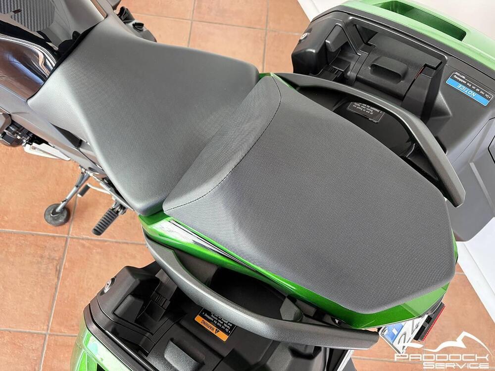 Kawasaki Ninja 1000 SX (2021 - 24) (9)