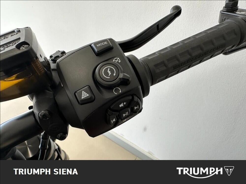 Harley-Davidson Sportster S (2022 - 24) (19)