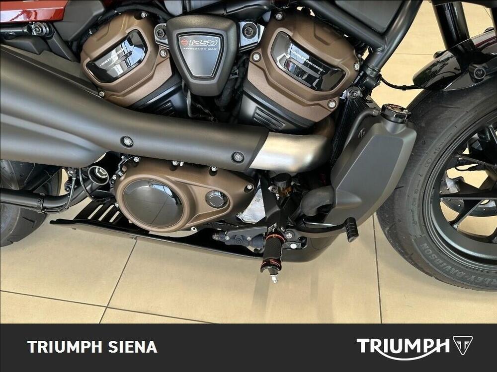 Harley-Davidson Sportster S (2022 - 24) (20)