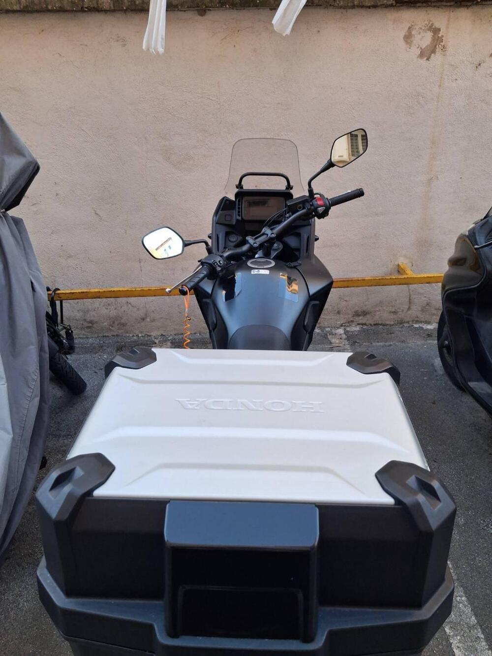 Honda NX500 (2024 - 25) (2)