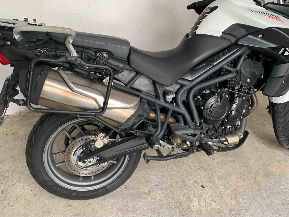 Triumph Tiger 800 ABS (2010 - 14) (5)