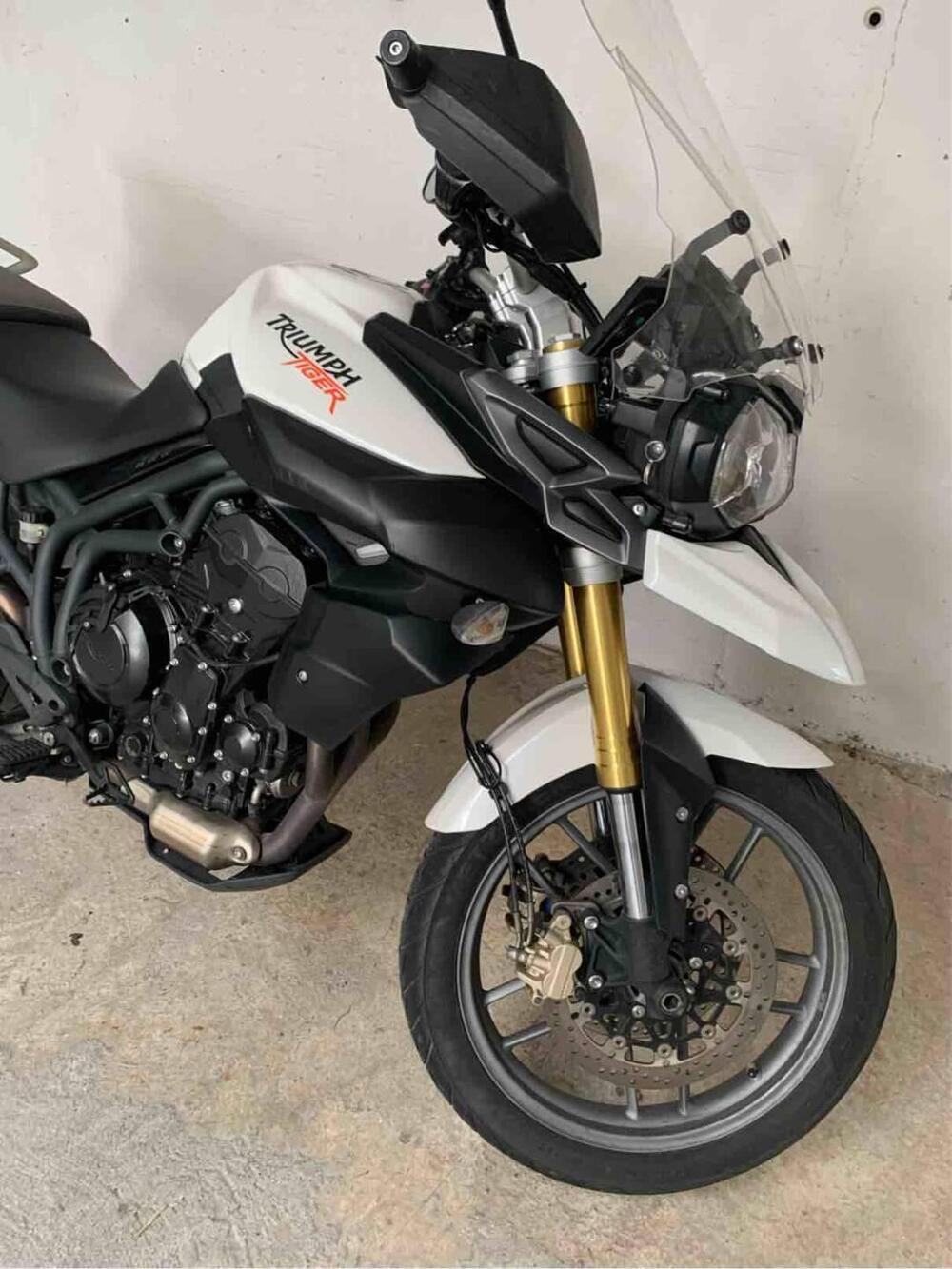 Triumph Tiger 800 ABS (2010 - 14) (6)