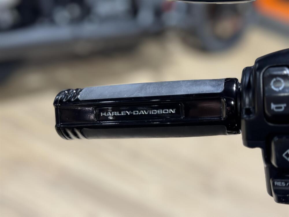 Harley-Davidson Low Rider ST (2022 - 24) (6)