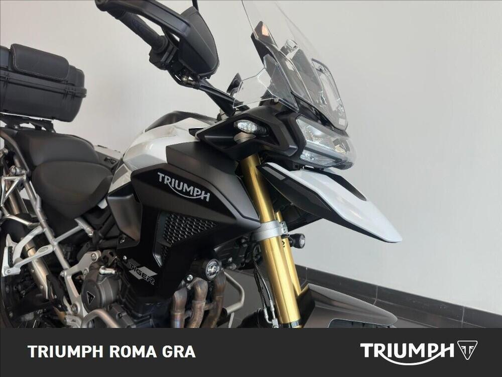 Triumph Tiger 1200 Rally Pro (2022 - 23) (13)