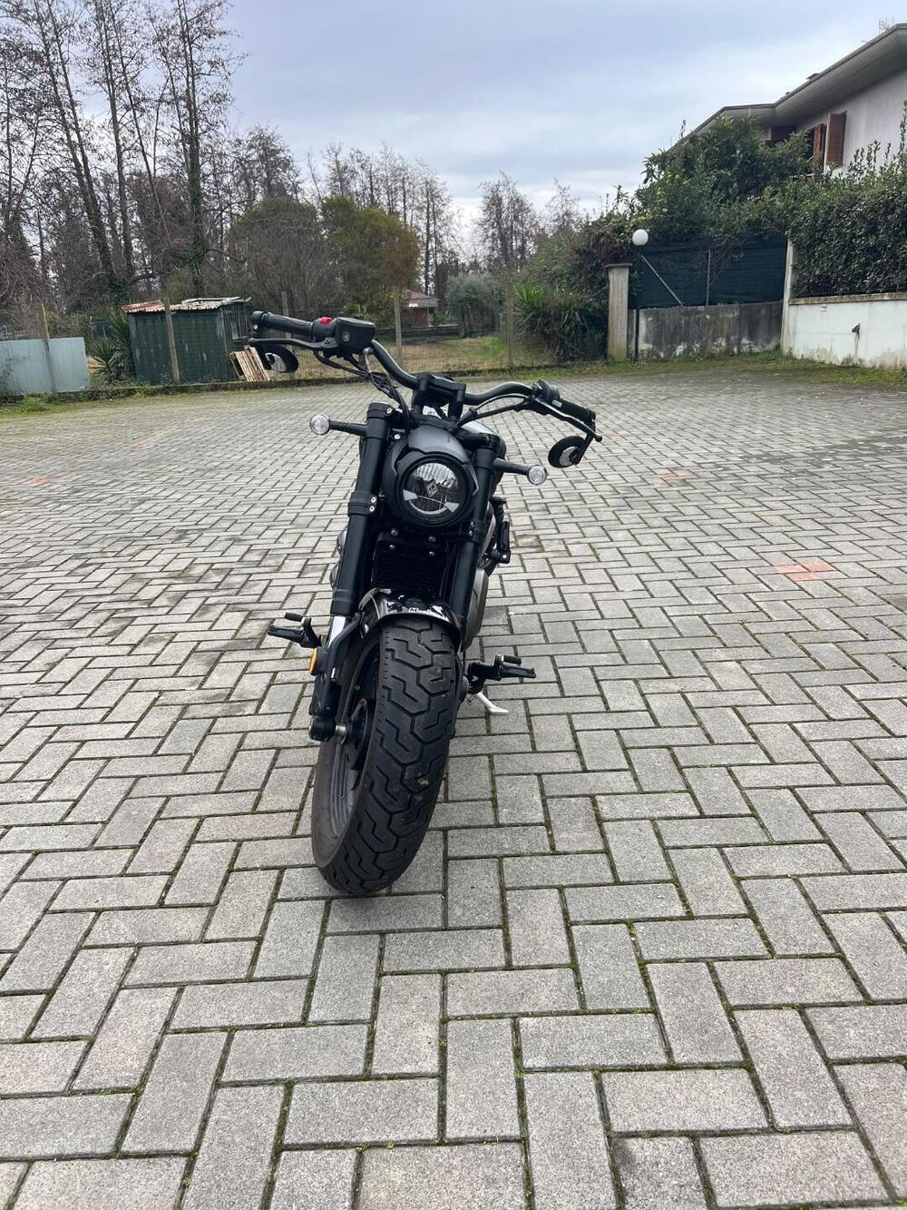 Benda Motorcycles Chinchilla 500 V2 (2025 - 26) (2)