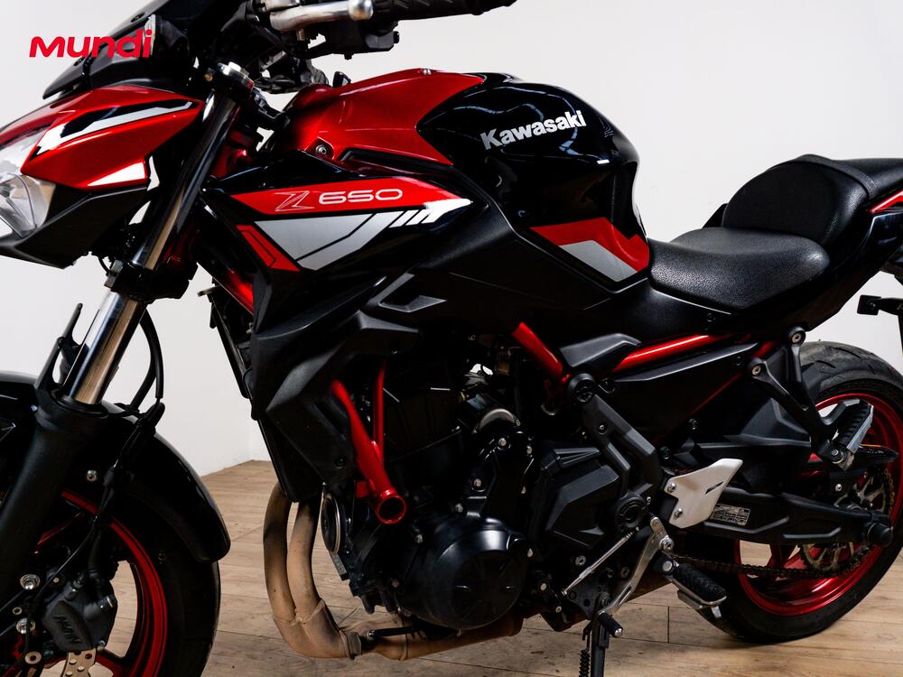 Kawasaki Z 650 (2025 - 26) (9)