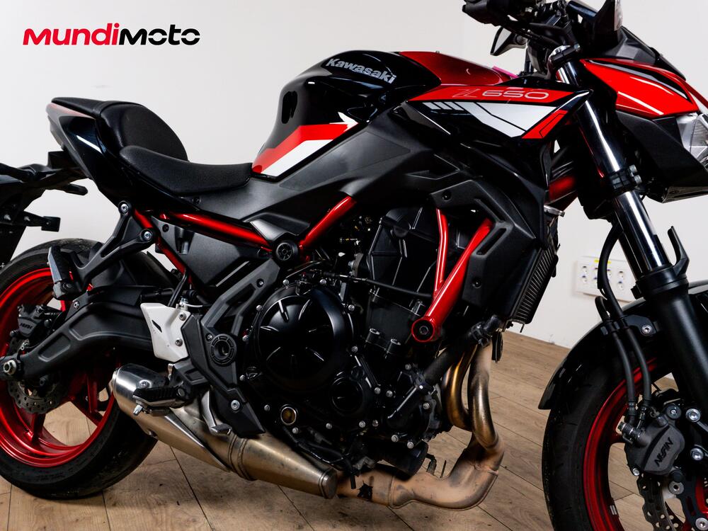 Kawasaki Z 650 (2025 - 26) (5)