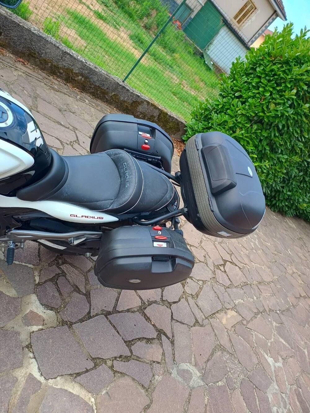 Suzuki Gladius 650 SFV (2009 - 15) (7)