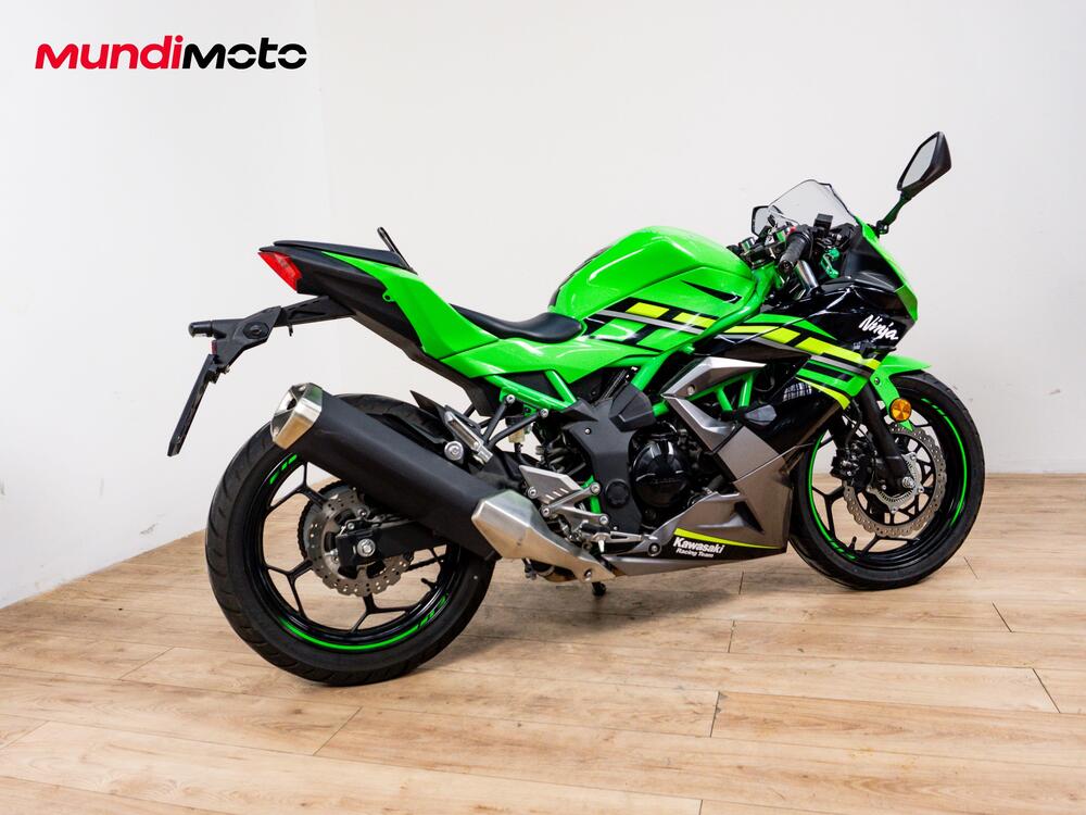 Kawasaki Ninja 300 ABS (2012 - 16) (3)