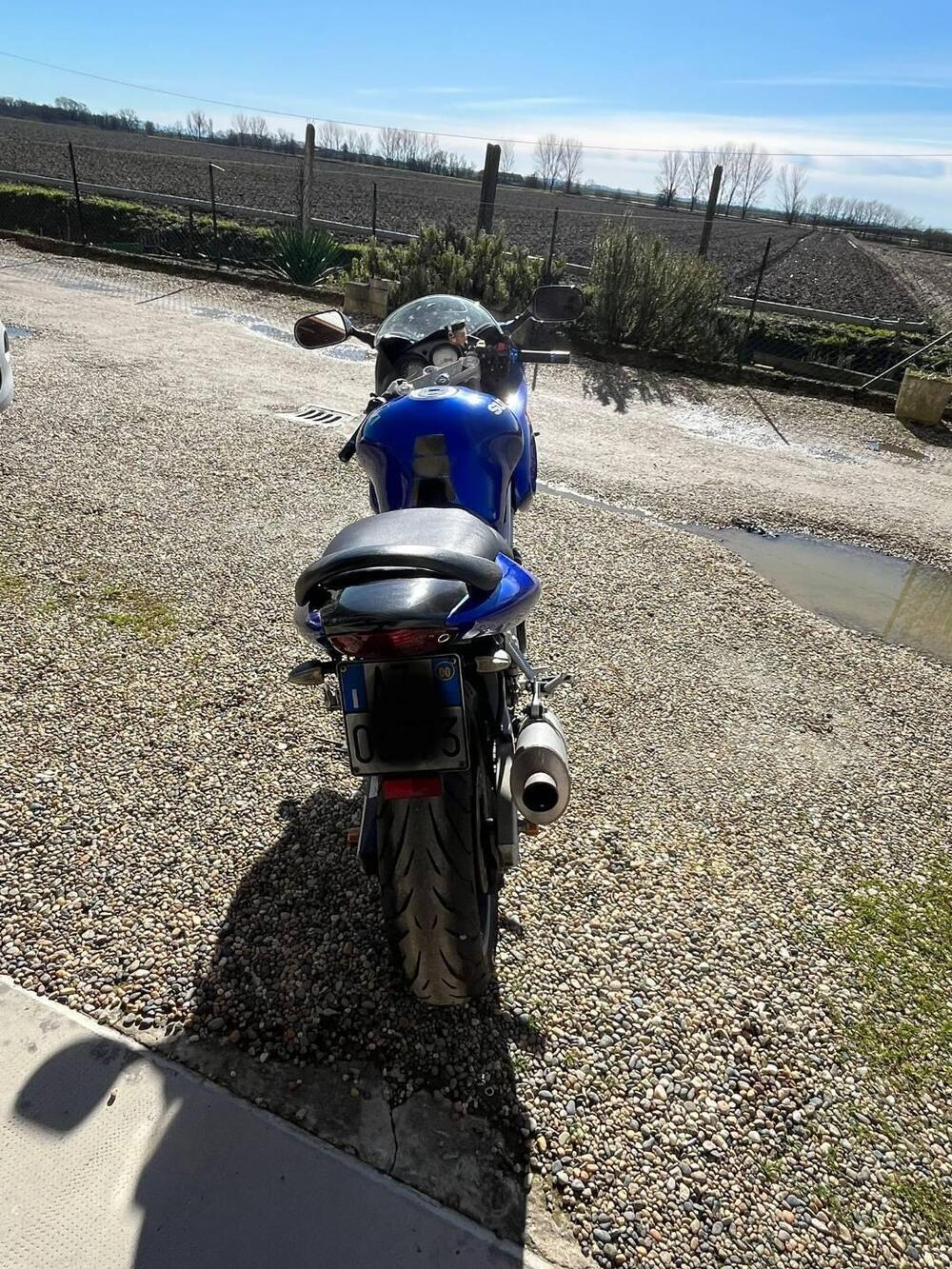 Suzuki SV 650 S (1999 - 02) (3)