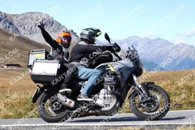 Moto Guzzi Stelvio (2024 - 26) usata