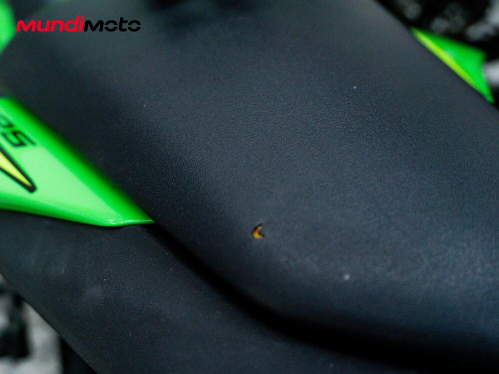 Kawasaki Ninja 300 ABS (2012 - 16) (16)