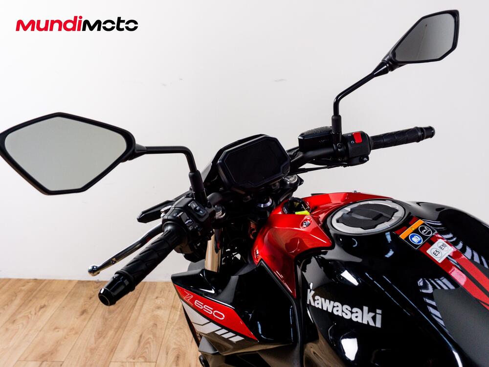 Kawasaki Z 650 (2025 - 26) (11)