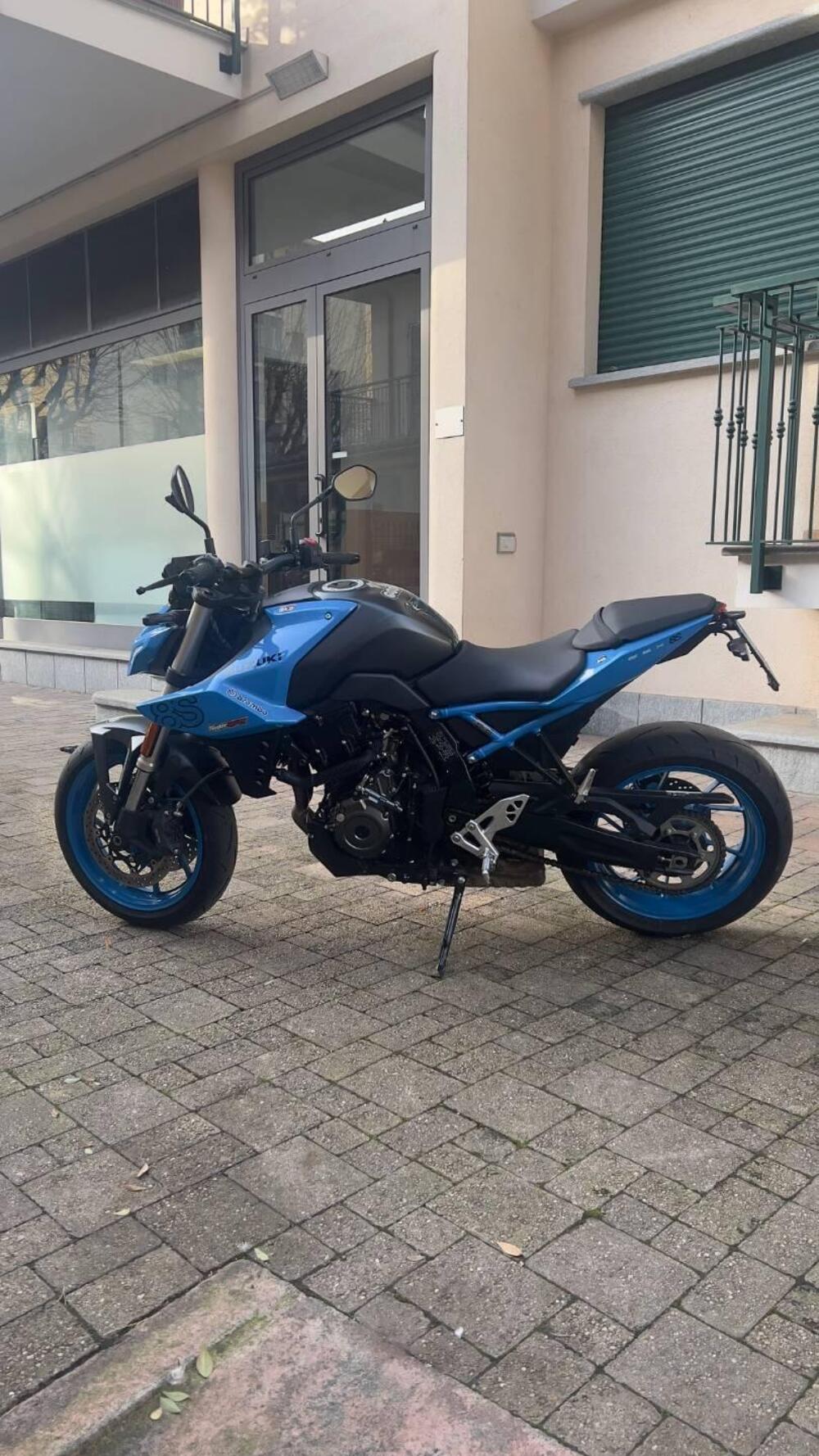 Suzuki GSX-8S (2023 - 24) (2)