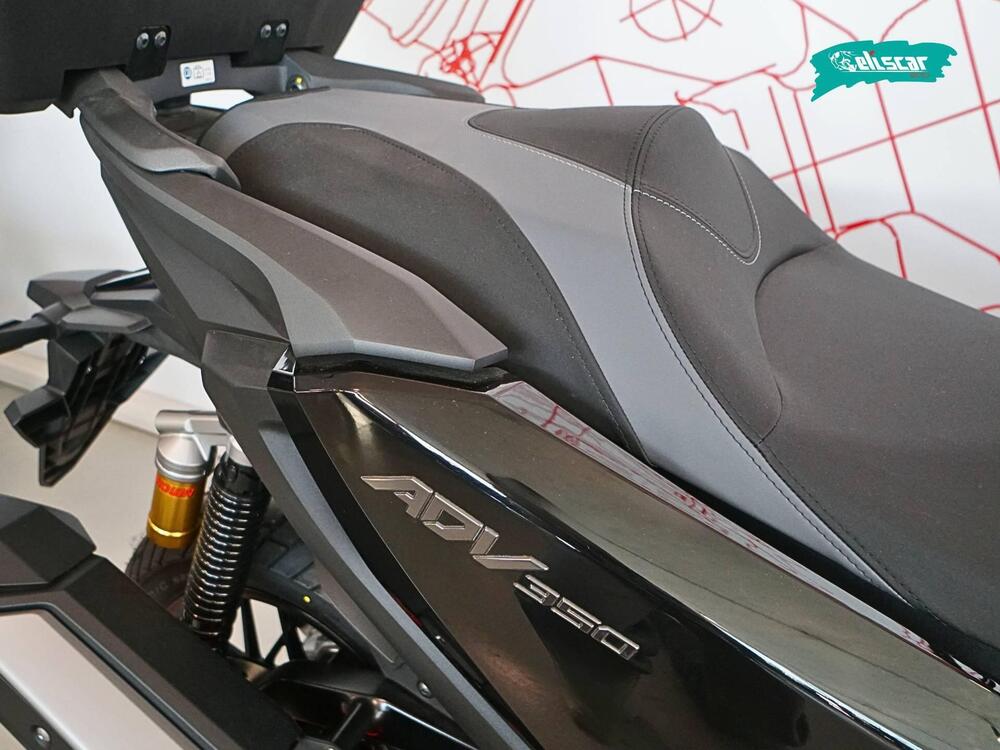 Honda ADV 350 (2025 - 26) (6)
