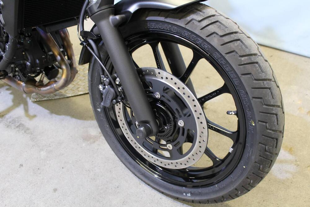 Kawasaki Eliminator 500 (2024 - 26) (7)