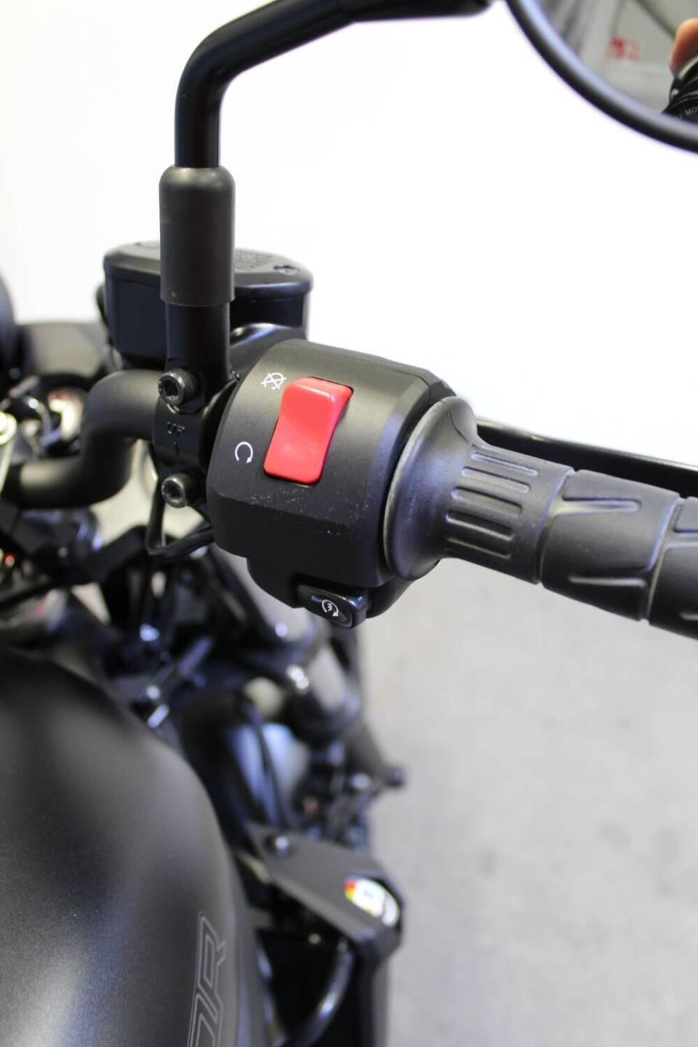 Kawasaki Eliminator 500 (2024 - 26) (12)