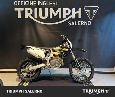 Triumph TF 450-E (2026) usata