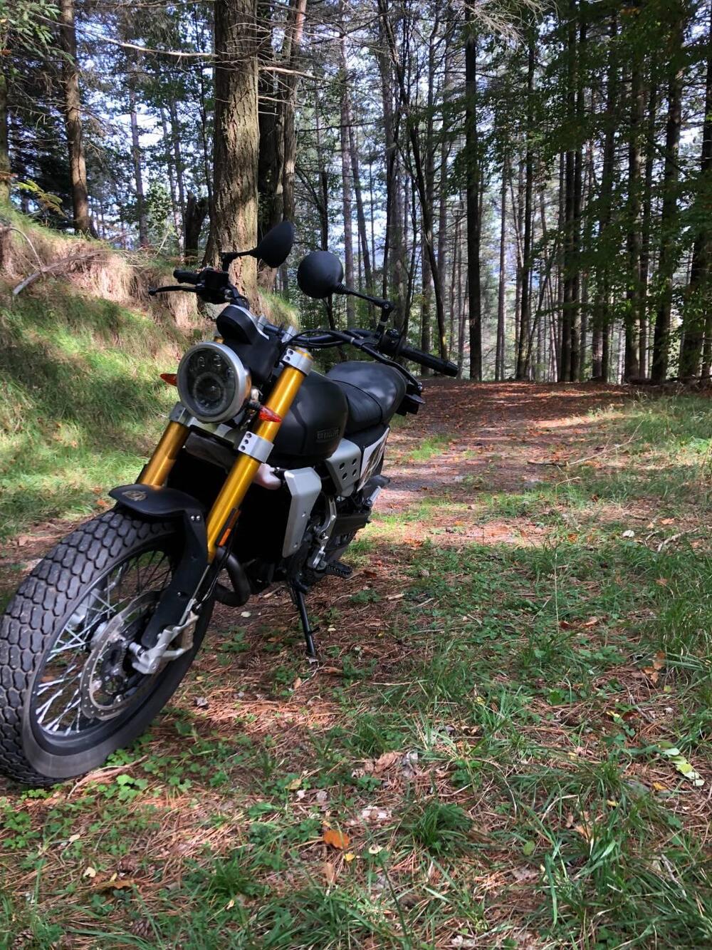 Fantic Motor Caballero 500 Flat Track (2018 - 21) (3)