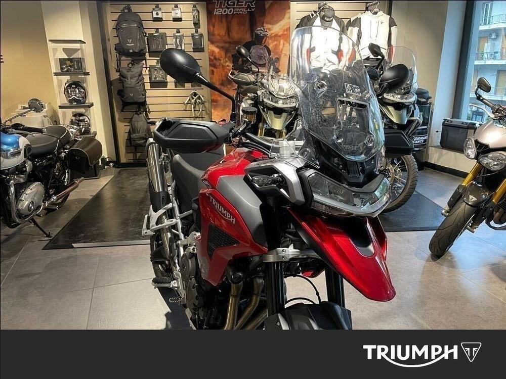 Triumph Tiger 1200 GT Pro (2024 - 26) (4)