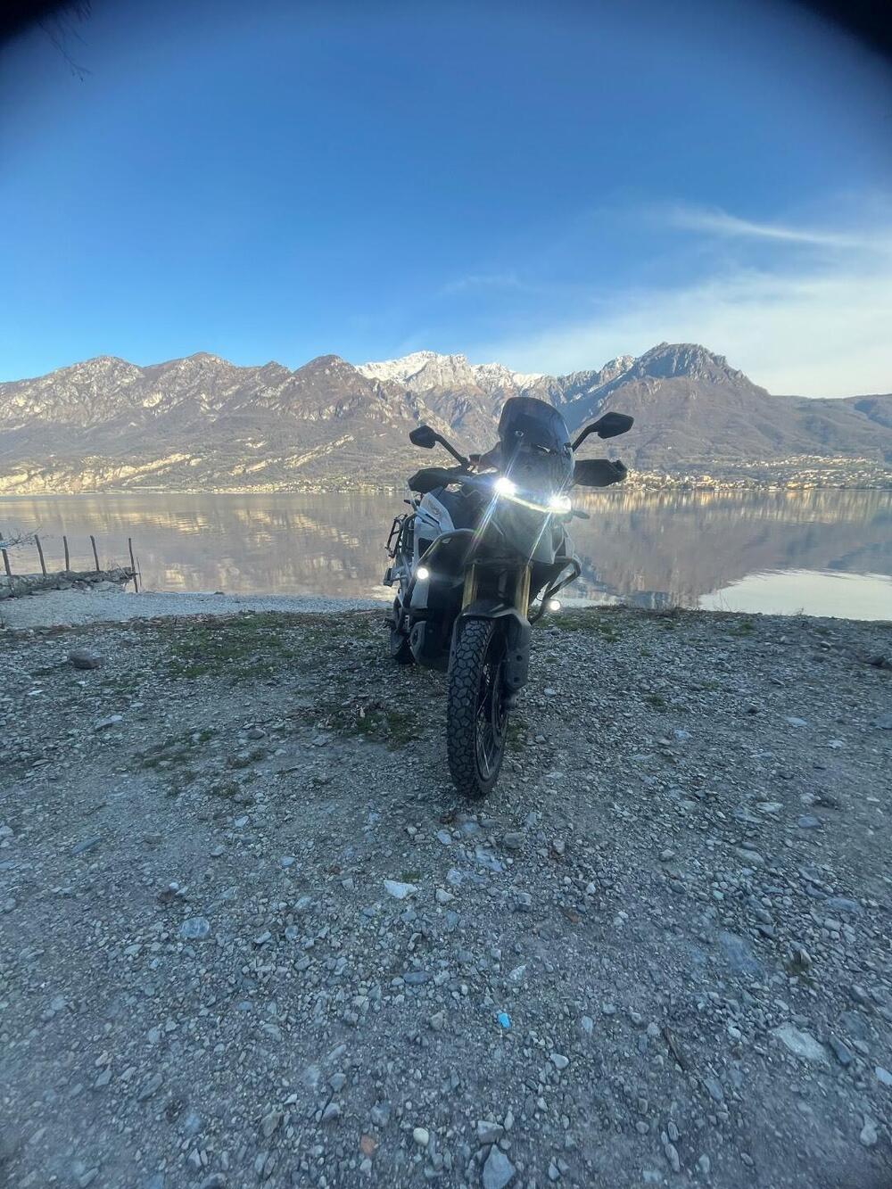 Triumph Tiger 1200 Rally Explorer (2022 - 23) (10)