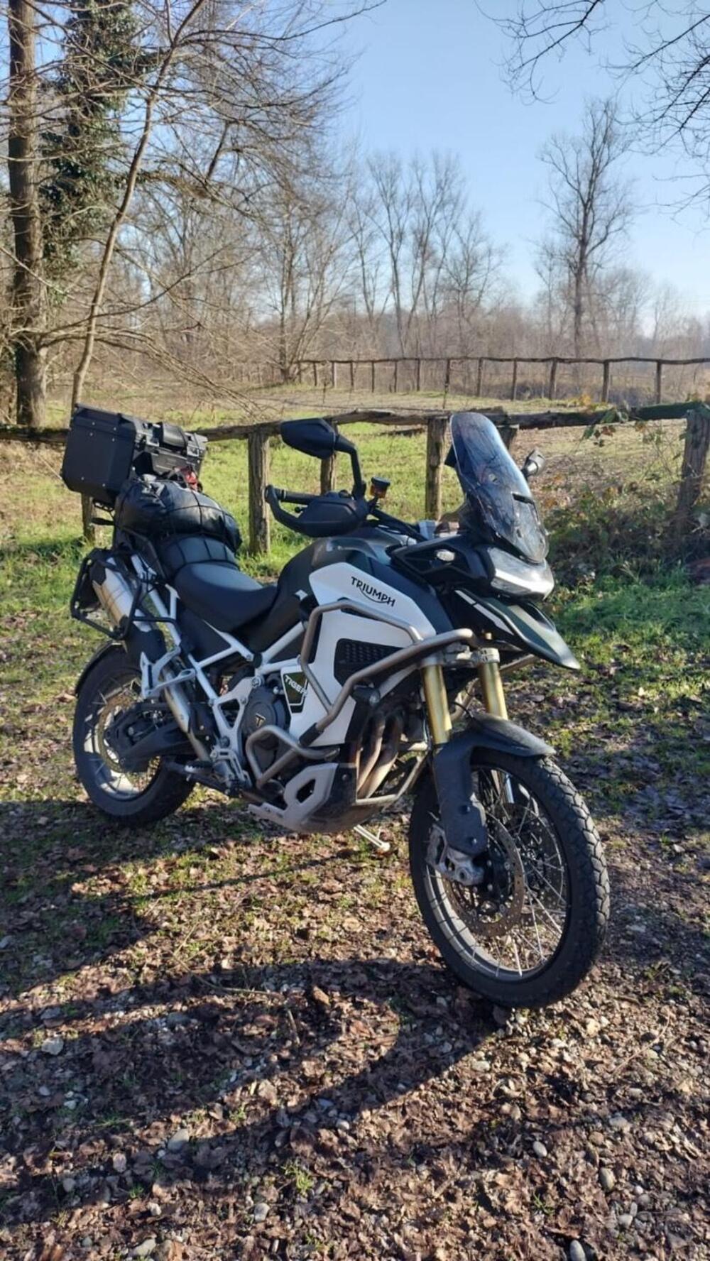 Triumph Tiger 1200 Rally Explorer (2022 - 23) (8)