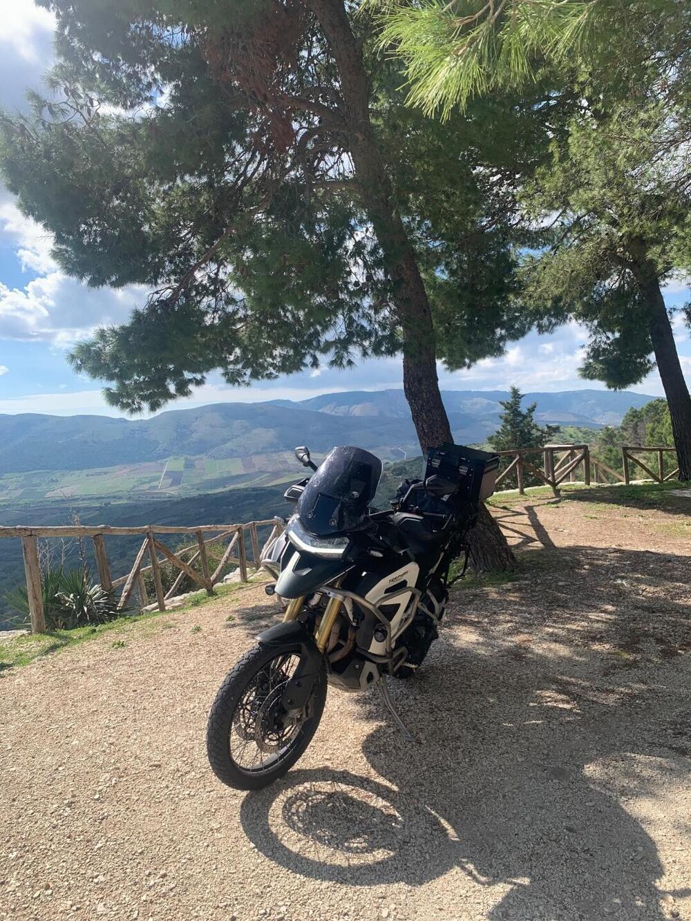 Triumph Tiger 1200 Rally Explorer (2022 - 23) (7)