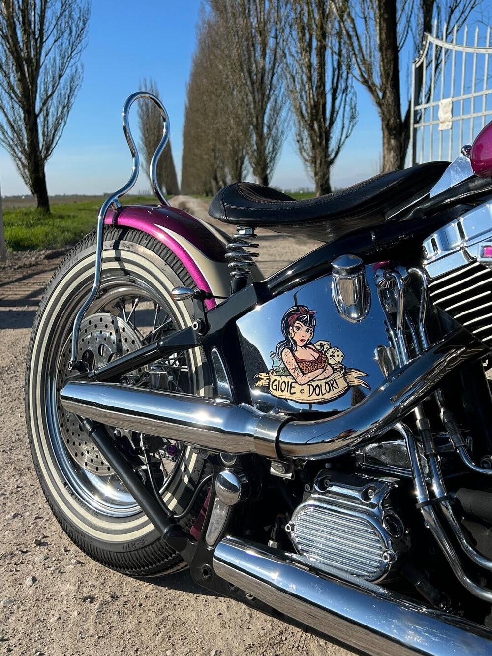 Harley-Davidson 1450 Fat Boy (2003 - 06) - FLSTFI (3)