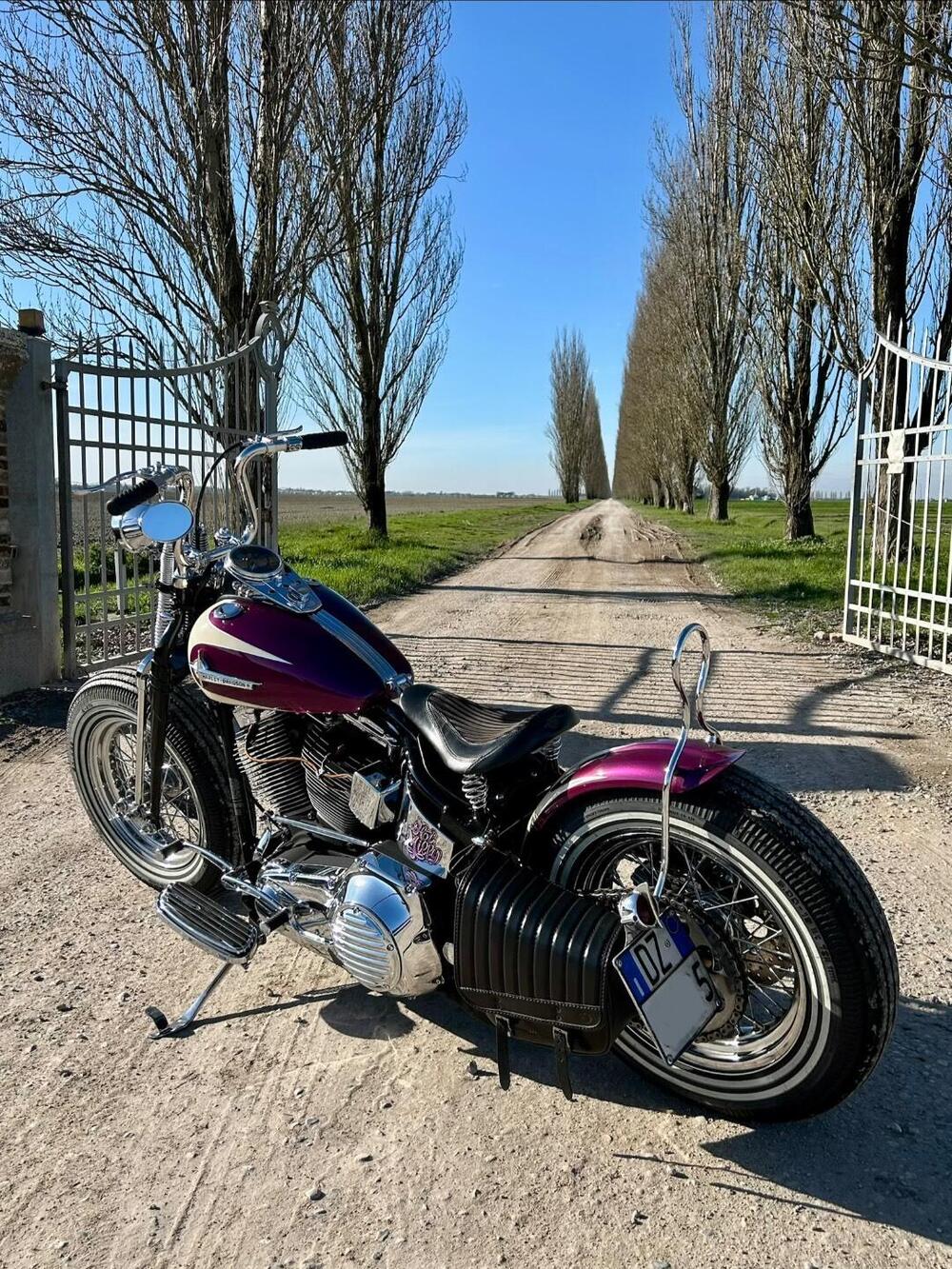 Harley-Davidson 1450 Fat Boy (2003 - 06) - FLSTFI (4)