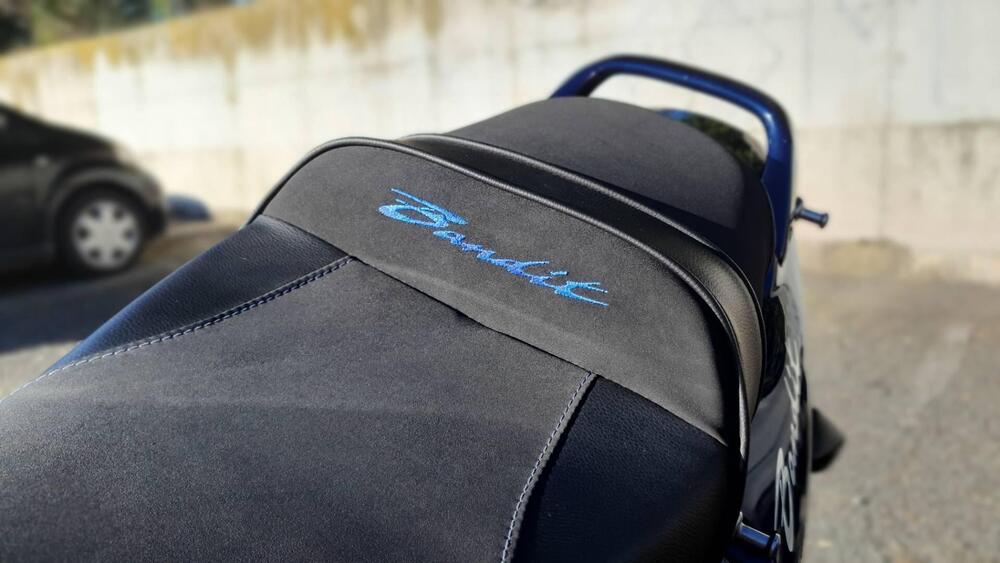 Suzuki GSF 1200 Bandit (2001 - 06) (11)