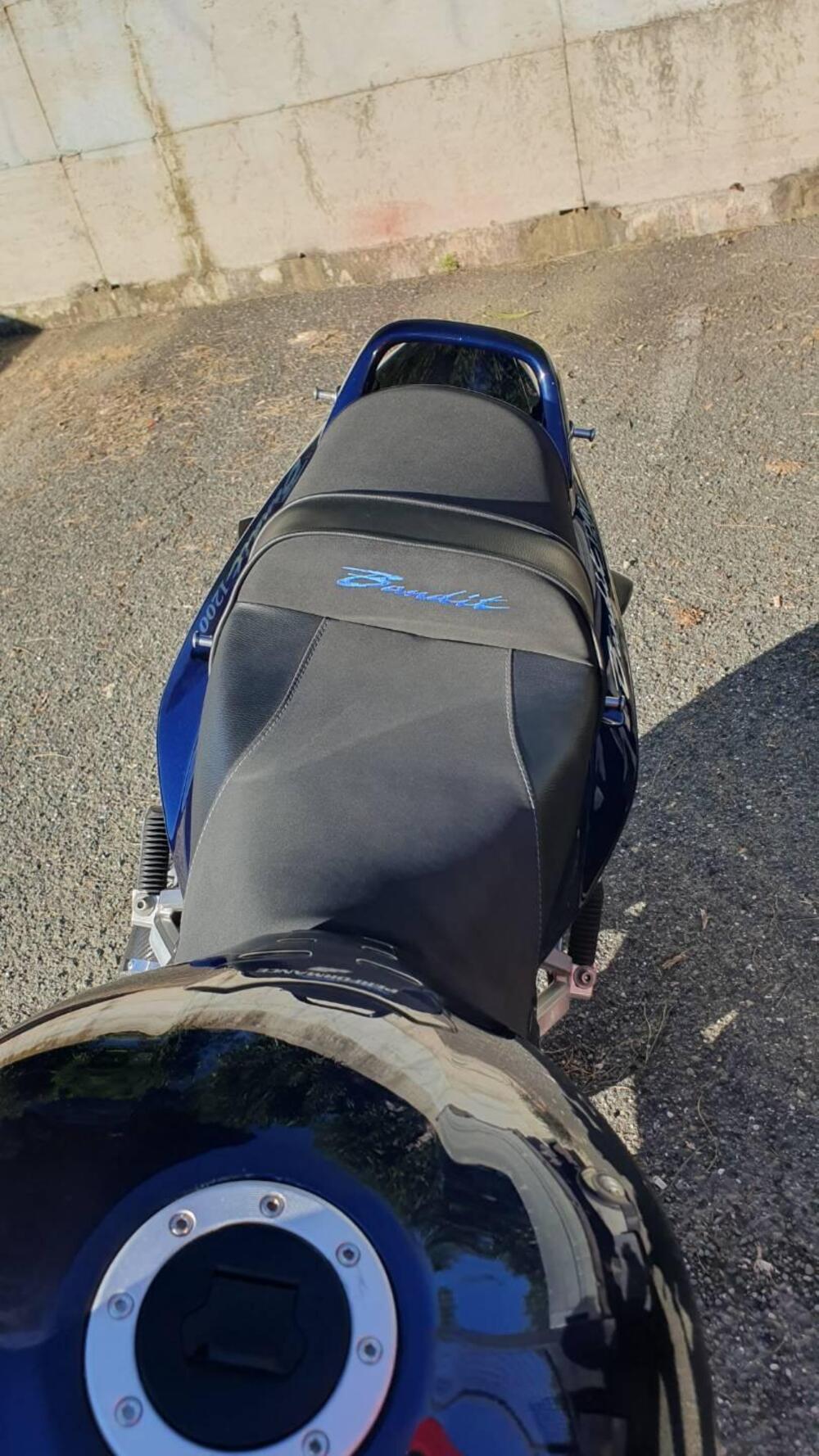 Suzuki GSF 1200 Bandit (2001 - 06) (10)