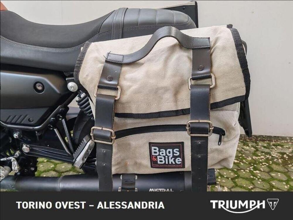 Moto Guzzi V7 Stone (2021 - 24) (8)