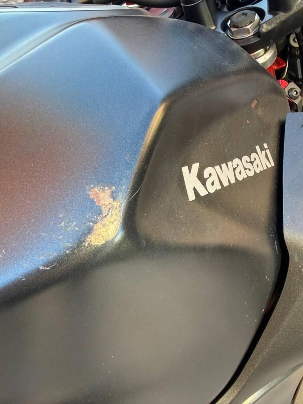 Kawasaki Z 500 SE (2024 - 26) (8)