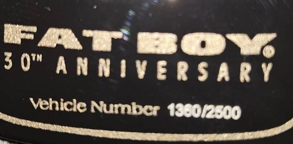 Harley-Davidson 114 Fat Boy (2018 - 20) - FLFBS (2)