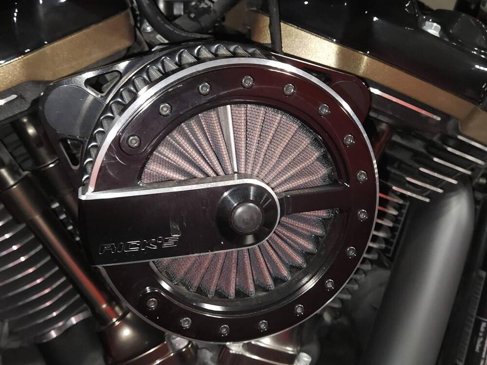 Harley-Davidson 114 Fat Boy (2018 - 20) - FLFBS (11)