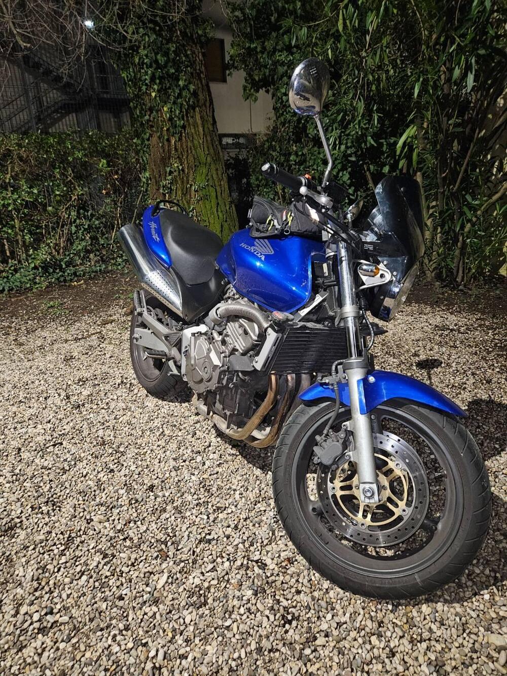 Honda Hornet 600 (2003 - 04) (3)