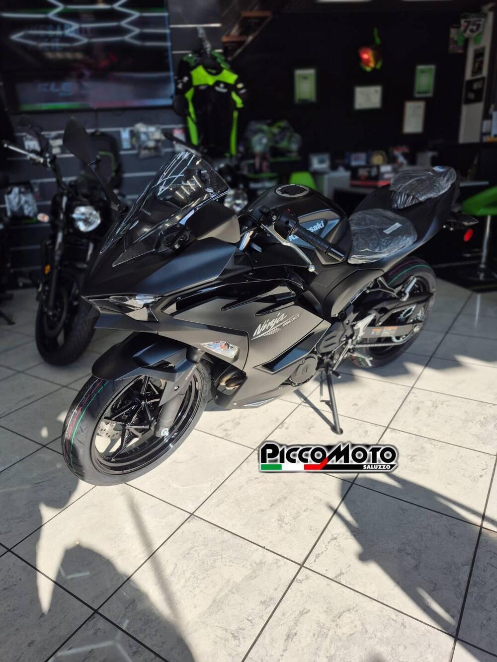 Kawasaki Ninja 500 (2024 - 26) (3)