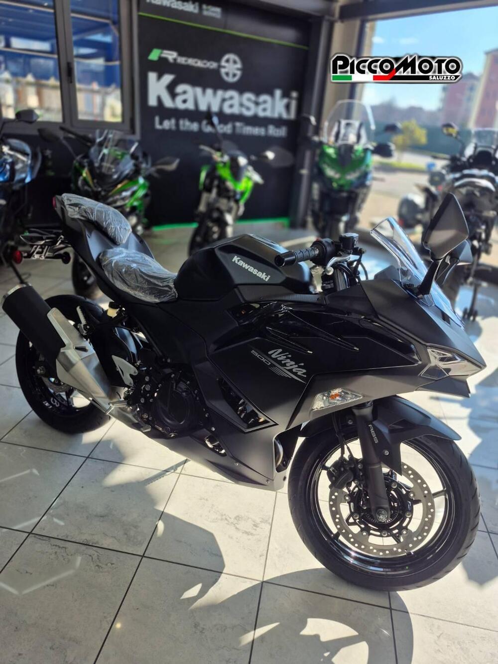 Kawasaki Ninja 500 (2024 - 26) (4)