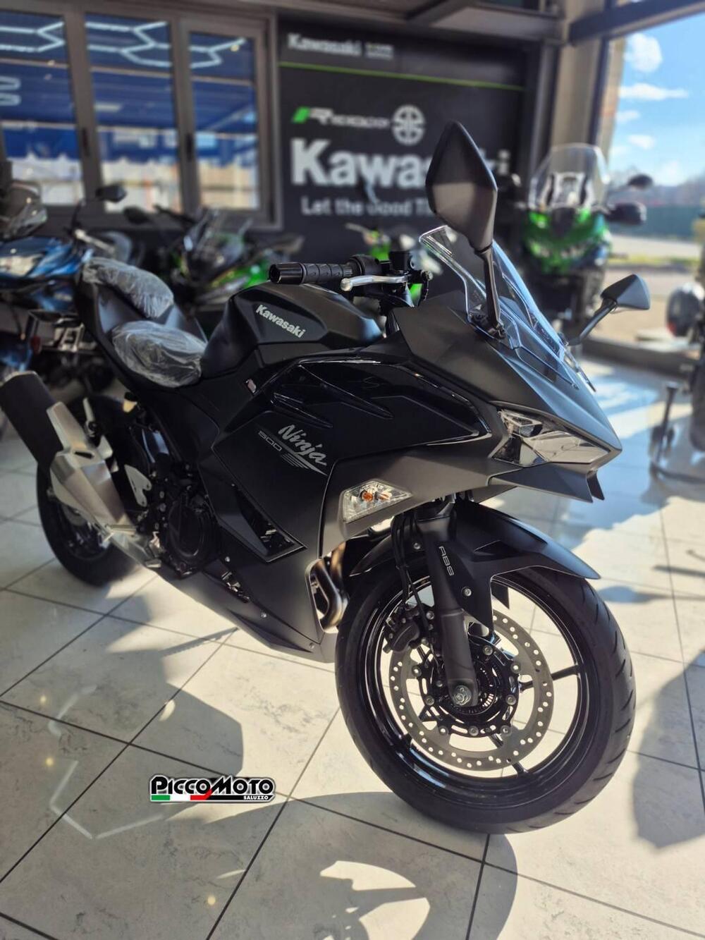 Kawasaki Ninja 500 (2024 - 26) (5)