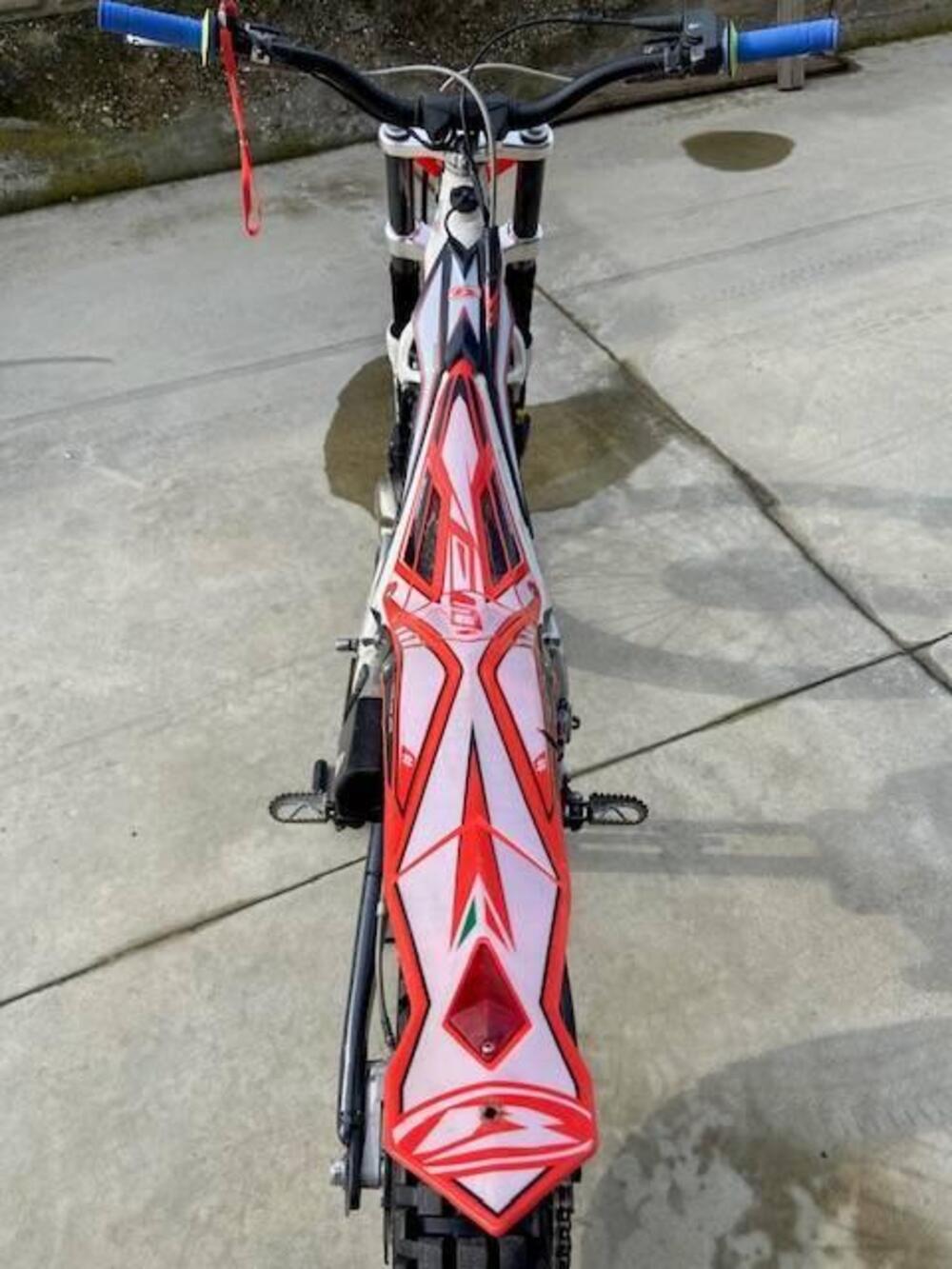 Betamotor Evo 300 2t (2012 - 16) (6)