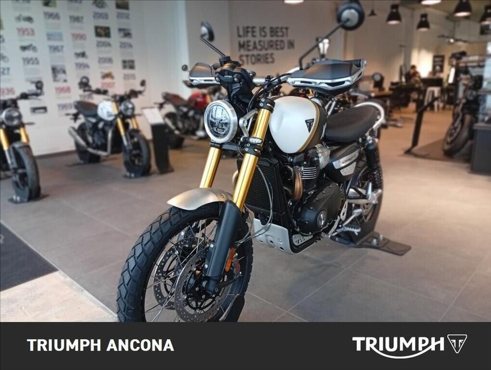 Triumph Scrambler 1200 XE (2024 - 25) (4)