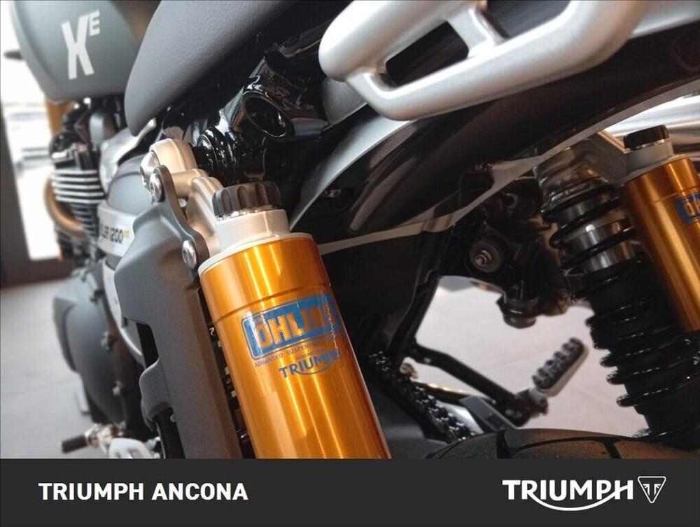 Triumph Scrambler 1200 XE (2024 - 25) (3)