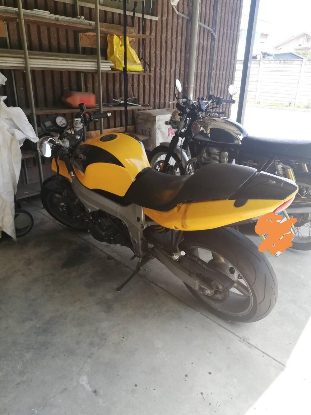 Triumph TT 600 (2002 - 03)