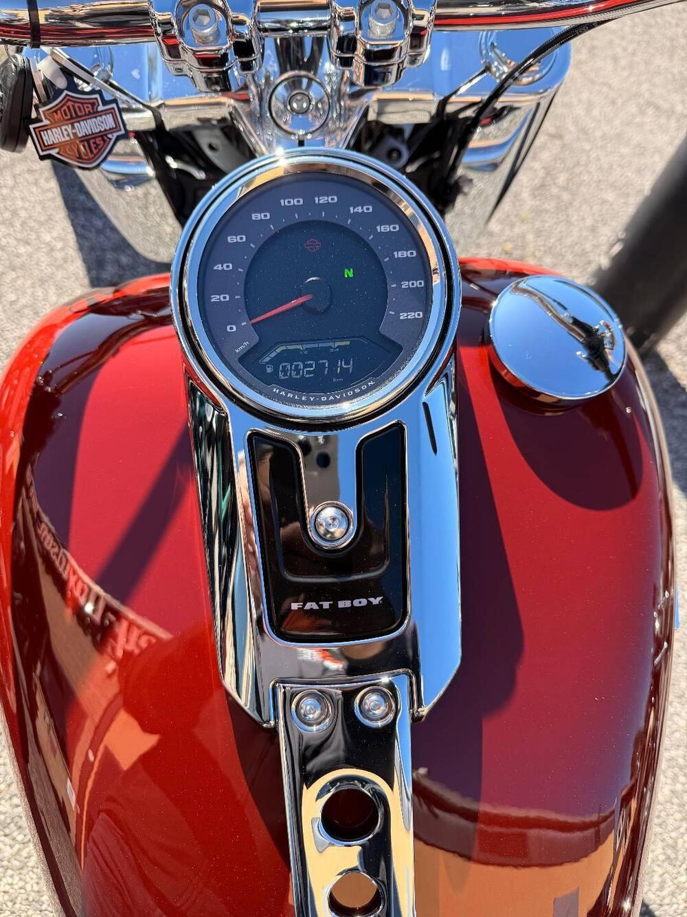 Harley-Davidson Fat Boy 114 (2021 - 24) (4)
