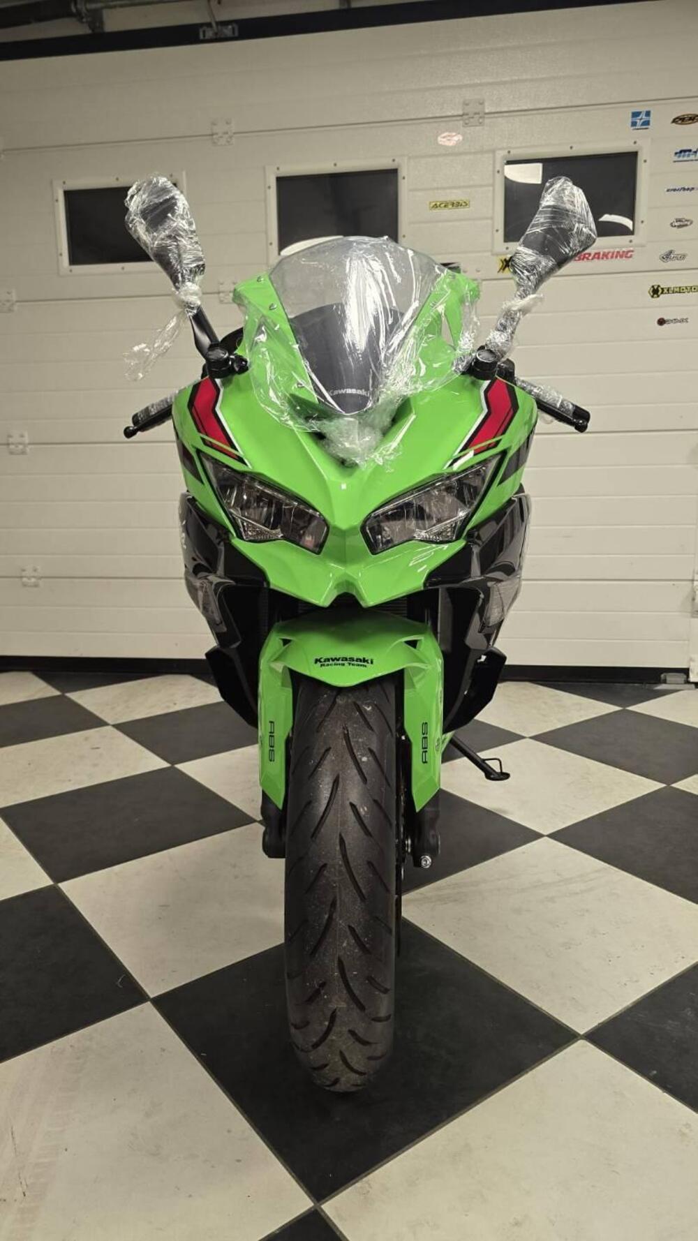 Kawasaki Ninja ZX-4RR (2024 - 26) (3)