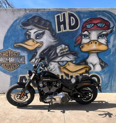 Harley-Davidson Street Bob 117 (2025 - 26) usata