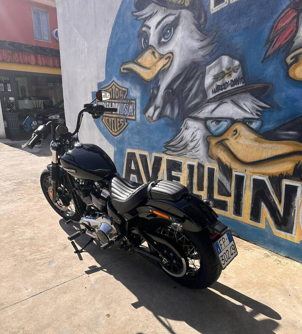 Harley-Davidson Street Bob 117 (2025 - 26) (2)