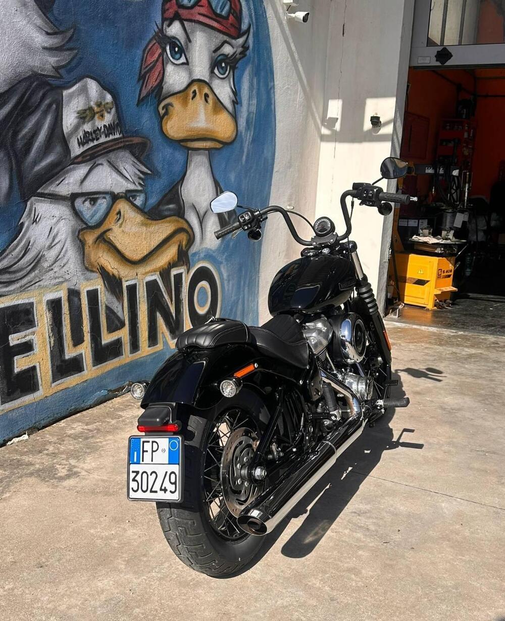 Harley-Davidson Street Bob 117 (2025 - 26) (3)