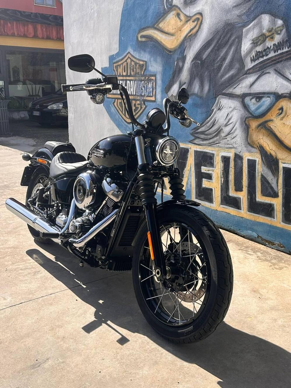 Harley-Davidson Street Bob 117 (2025 - 26) (4)