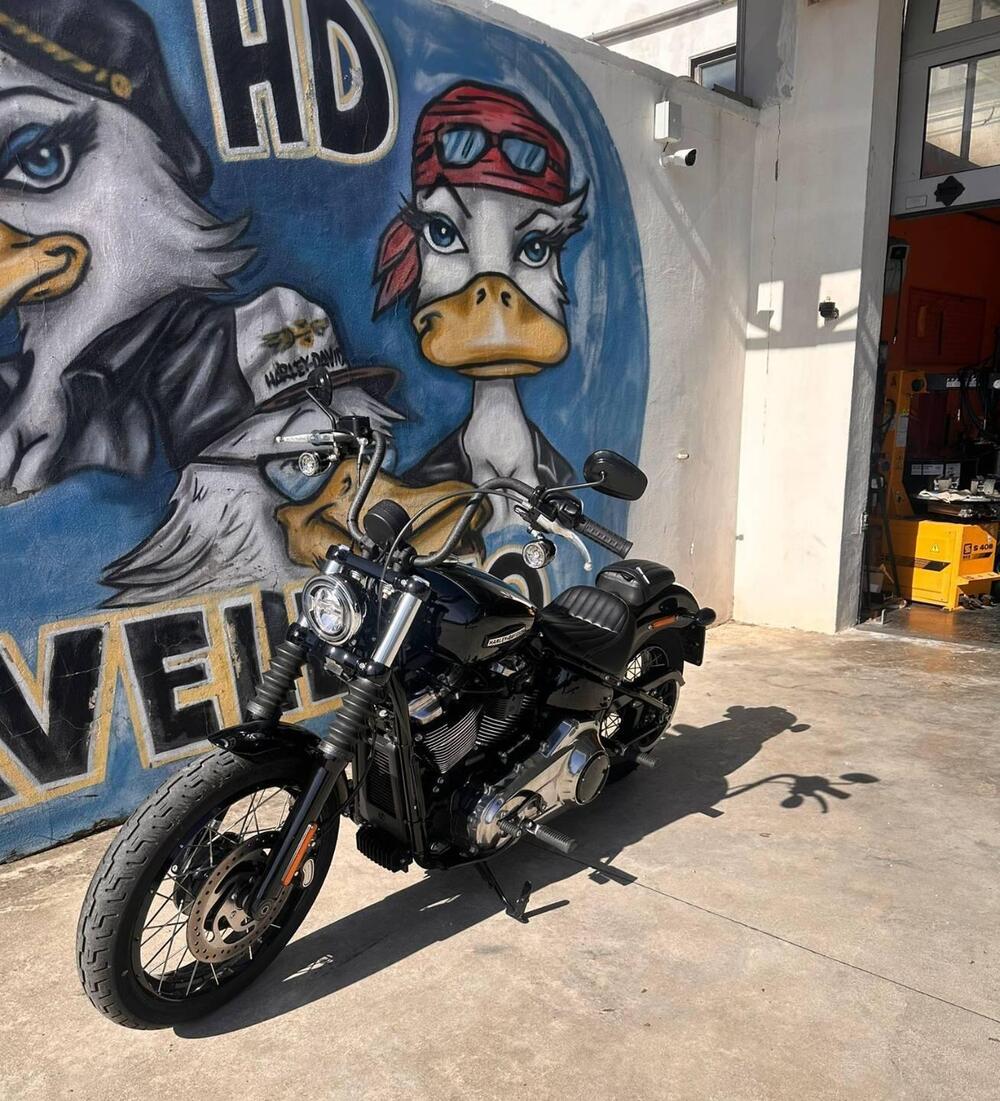 Harley-Davidson Street Bob 117 (2025 - 26) (5)